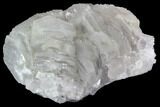Calcite Crystal Cluster - Fluorescent #92252-1